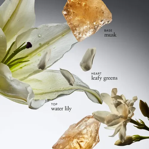 Perfume Philosophy Pure Grace Para Mujer Fragancia Fresca