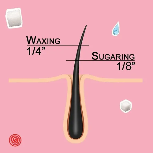 Sugaring Wax Organic Paste Sugaring Nyc Medium 1.3kg