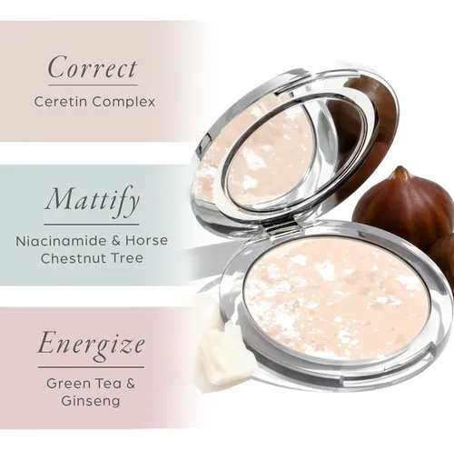 Pür Minerals Polvo Fijador Translúcido 7 G