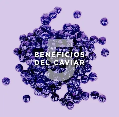 Kit Caviar Nutritivo Fidelite Crema Peinar + Mascara X1kg