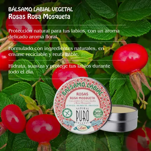 Bálsamo Labial Rosa Mosqueta Aroma Floral En Lata Boti-k