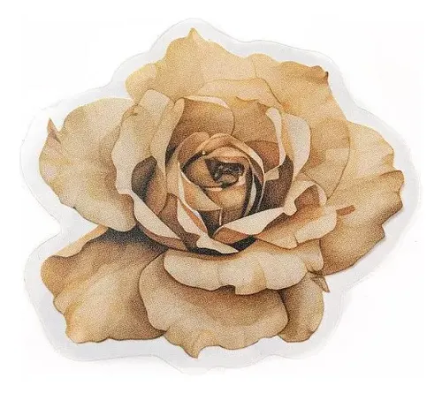 Sticker Adhesivo Flores Secas X 20 Un