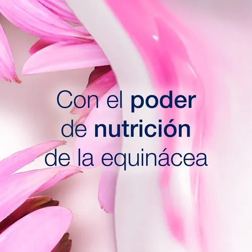 Dove Acondicionador Ritual Crecimiento Equinacea X 400ml