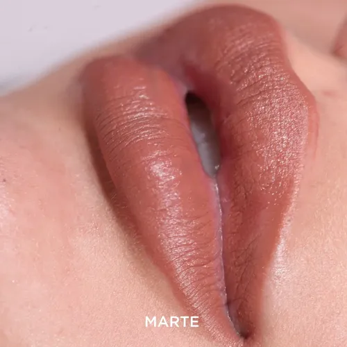 Marte Labial Mate Larga Duracion Regina Lapiz Cremoso Hidratante