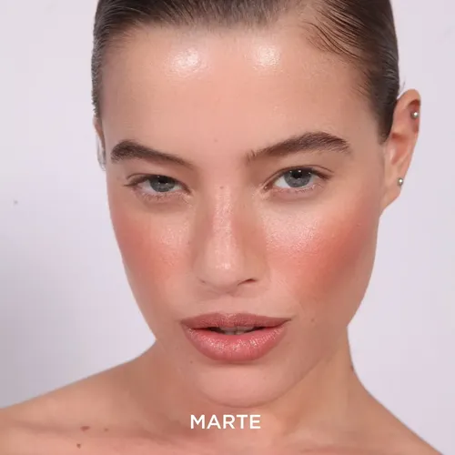 Marte Labial Mate Larga Duracion Regina Lapiz Cremoso Hidratante