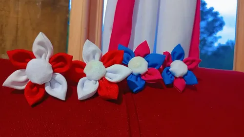 Creaciones Mb Colitas Cabello Niñas X50