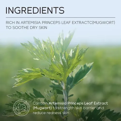 Mascarilla Mugwort Para Poros, Limpieza Profunda Y Control
