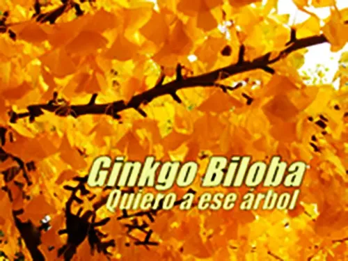 Crema Reductora Saiku 1000 Ml Anticelulítica Hipoalergénica