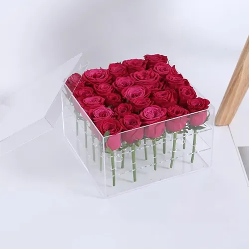 Claro Acrílico Florero Cosmético Maquillaje 25 Hoyos