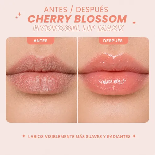 Mascarilla Labios Hidrogel Parches Hidratante 22 Unidades