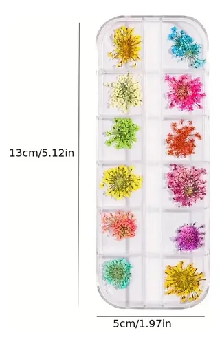 — ! Decoración De Uñas Con Flores Secas Naturales, *