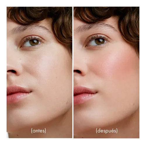 Rubor Bronceandor Cher Blushy Matt Bronzer Sugar Brown Marrón