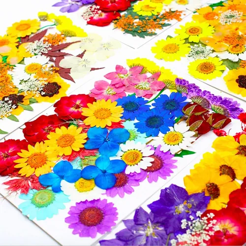 Flores Secas Prensadas Lucisky 152 Piezas Para Resina, Uñas