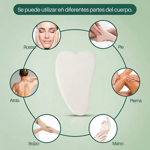 As Kit Rodillo Y Piedra Gua Sha Masajeadora De Jade As