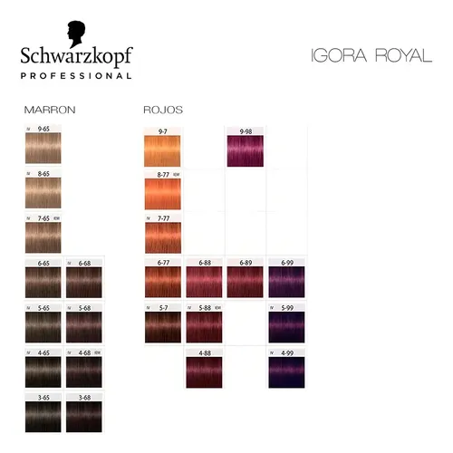 Tintura Schwarzkopf Professional Igora royal Naturals tono 6-1 para cabello