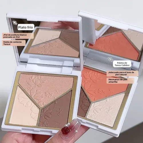 Paleta De Polvos Compactos, Iluminadores Y Contornos Rosa-ch