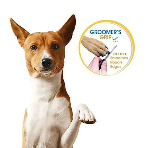 Lima De Uñas Four Paws Magic Coat Acero Inoxidable Perros