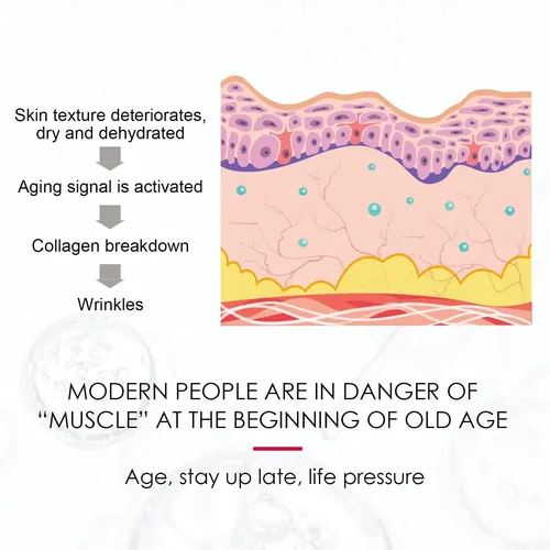 Aceite Facial De Rosa Mosqueta Eelhoe Hidratante Facial Y Corpora