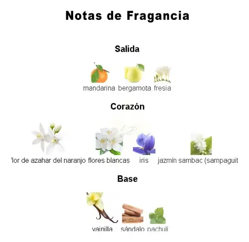 Parfum Mujer Yves d’Orgeval La Vida Es Bella Eclat Floral 100 mL