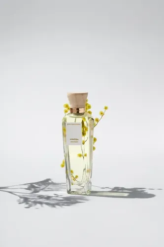 Adolfo Dominguez Agua Fresca Mimosa Edt X 120ml Masaromas