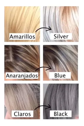 Kit Shampoo Y Máscara Negra/black Matizadora La Puissance