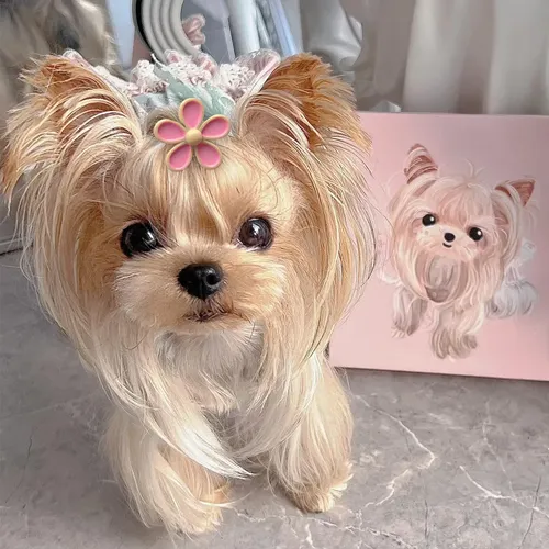Accesorios Para El Pelo De Perros Pequeños En Color