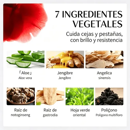 Kit Tinte Negro Cejas Pestañas Uso Directo Sin Revelador
