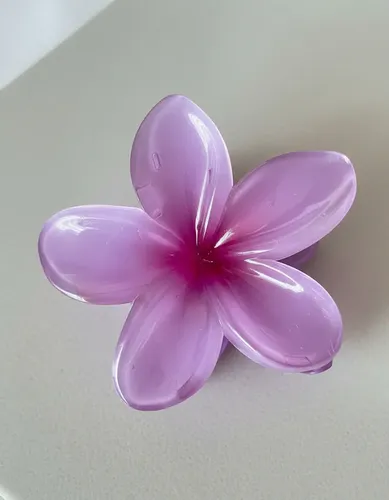 Broches Pelo Flores Hawaiianas  Gancho Flor Tendencia Xl