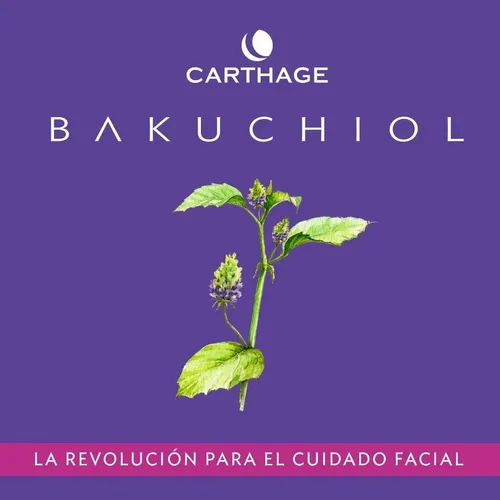 Crema Antiage Therapy Con Retinol Vegano Carthage X50g Momento de aplicación Noche Tipo de piel Todo tipo de piel