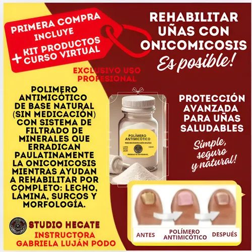 Studio Hecate Kit7 Y Curso Inicial