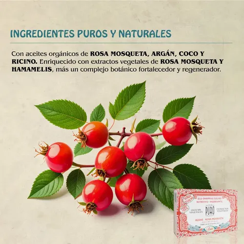 Eco Shampoo Solido Rosas Rosa Mosqueta Boti-k Puro
