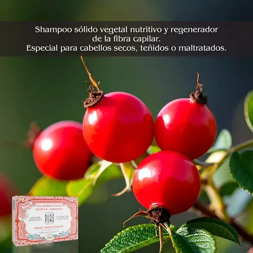 Shampoo Sólido Rosas Y Rosa Mosqueta 100g Boti-k Puro