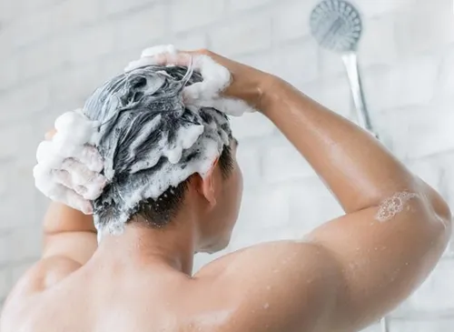 Exel Shampoo Gel Línea Crista Elastina X 340ml