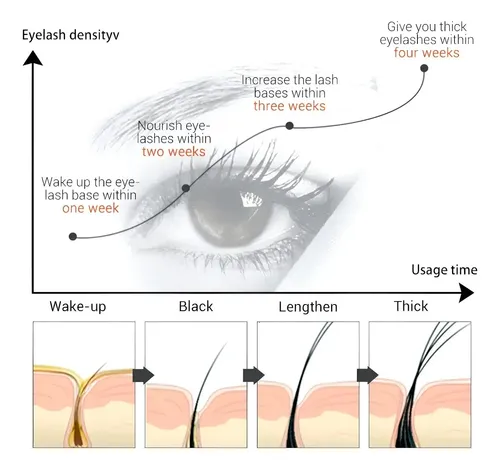 Pro Lash One Tratamiento Crecimiento Cejas Pestañas Melania