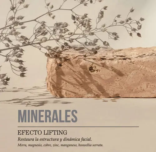 Reino Crema Antiarrugas Minerales Cronologic Día/Noche 55g