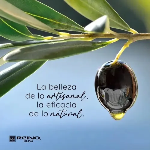 Crema Facial Nocturna Reino Oliva Hidratante y Nutritiva 50g Noche