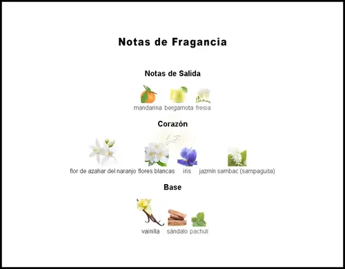 Parfum Mujer Yves d’Orgeval La Vida Es Bella Eclat Floral 100 mL