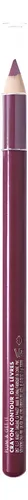 Lápiz Delineador E.L.F. Cosmetics Plum And Get It Black Plum