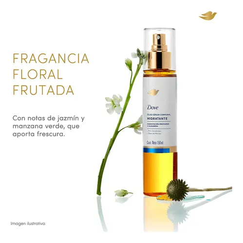 Dove Oleo Serum Corporal Hidratante Con Ceramidas X 150 Ml