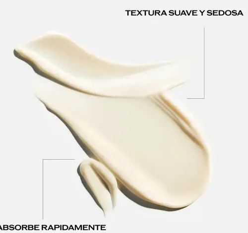 Shiseido -benefiance Wrinkle Smoothing Cream Anti-rides 50ml Todo Tipo De Piel Día/noche