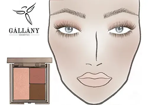 Paleta Facial Gallany Trios Geneva Con Rubor E Iluminador