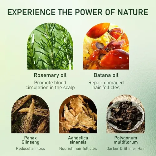 Aceite De Batana Para El Crecimiento Del Cabello Puro Y Natu
