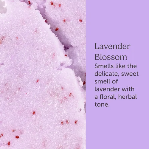 Golosinas De Baño Con Néctar Y Exfoliante Corporal Sugar Con