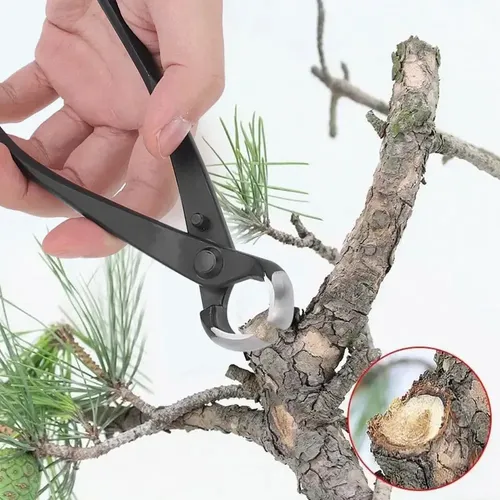 Rx2 Herramienta De Jardín For Bonsáis, Tijeras De Podar