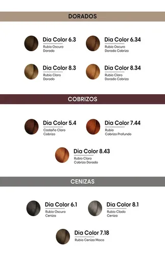 L’oréal Professionnel Dia Color Colorac Tintura Sin Amoníaco Dia Color 6.1 – Rubio Oscuro Ceniza
