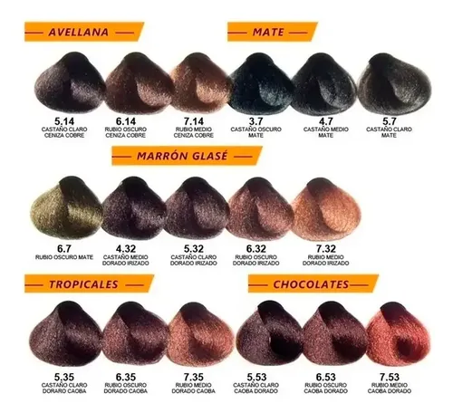 12 Tinturas Alfaparf Evolution Coloracion A Eleccion X 60 Gr