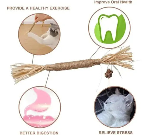 Palitos De Césped Dental Gatos Matatabi Natural Silvervine K