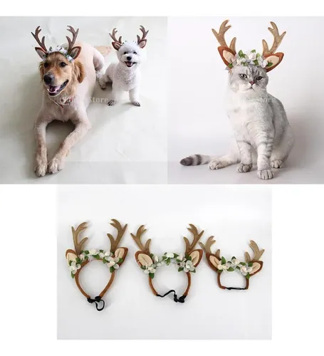 Accesorios Para Pelo De Perro Y Gato L