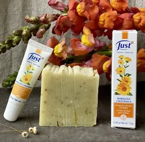 Crema Para Labios De Calendula De 10 Grs. Swiss Just