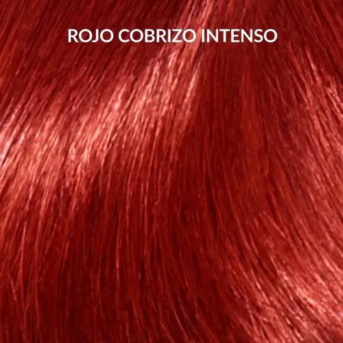 Tintura Koleston Kit Wella Permanente 366 Castaño Violeta Oscuro